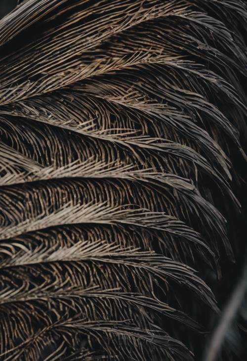 복잡한 패턴을 드러내는 검은 손바닥 줄기의 놀라운 클로즈업 보기.