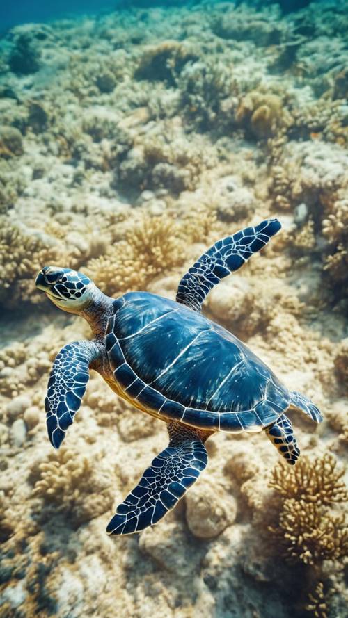 Grande tartaruga marina che nuota contro corrente nel mare blu profondo.