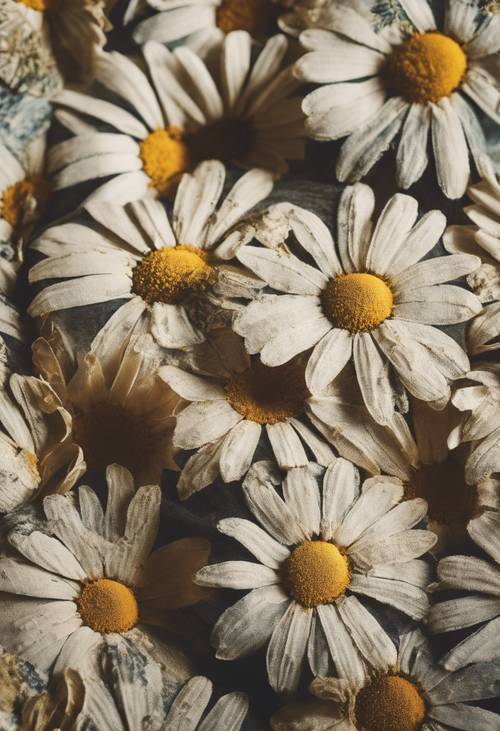 Vintage fabric showing a pattern of daisies, weathered over time. Tapeta [5e6cc893d4974f148b39]