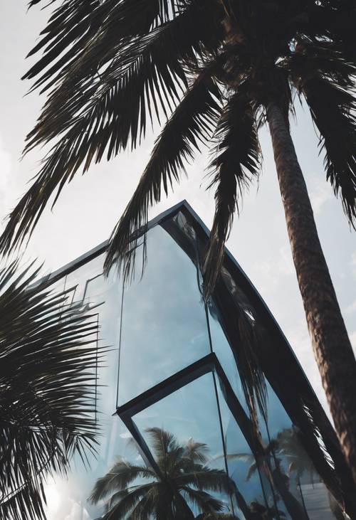 A dark palm tree towering over a modern glassed villa in a tropical beach town.
