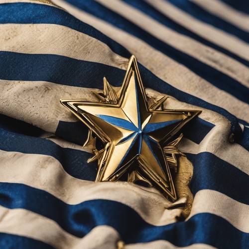 A gold star with blue stripes on a military uniform. Tapeta [1bf13eaf3c0746acbdcc]