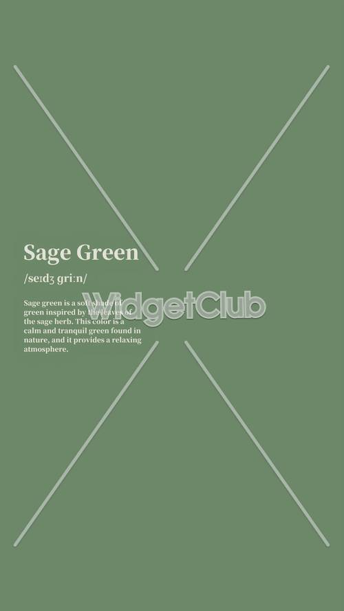 สีเขียว Sage ที่ผ่อนคลายสำหรับหน้าจอของคุณ