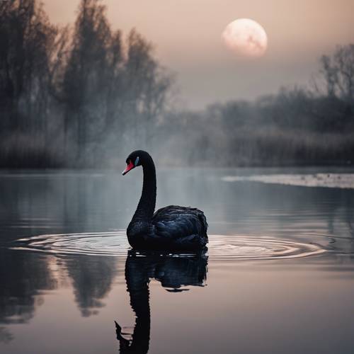 Un cygne noir dans un lac calme sous un clair de lune triste.