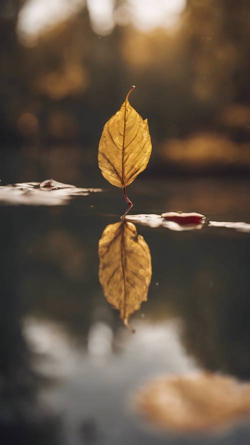 A golden leaf floating on the surface of a serene pond.