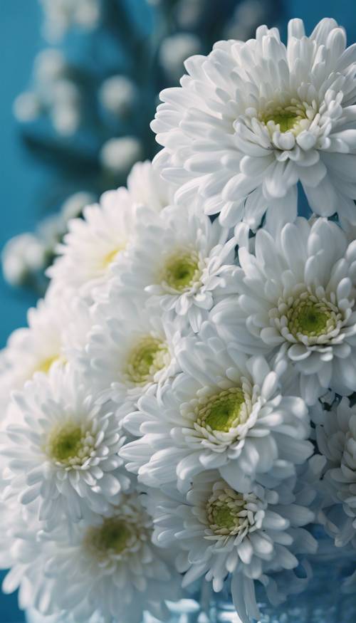 A bouquet of white chrysanthemums with azure blue centers