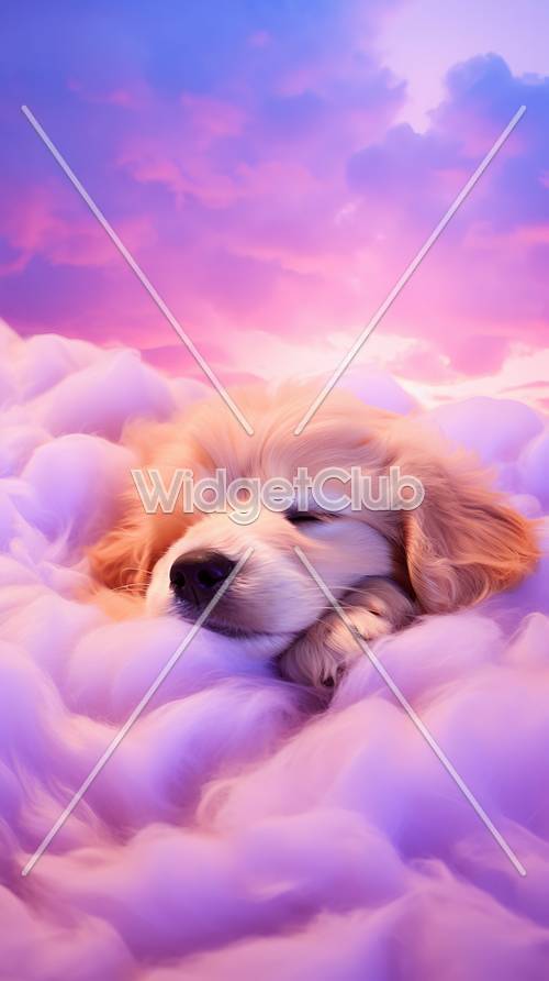 구름 속에서 잠자는 강아지