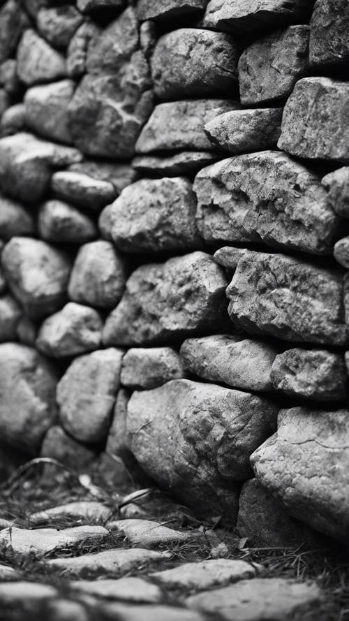 Immagine paesaggistica in scala di grigi di un muro di pietra dalla trama pesante.