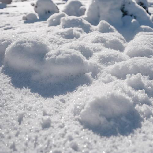 近所の庭で新しい雪の上にたくさんの雪だるまが印象づけられました