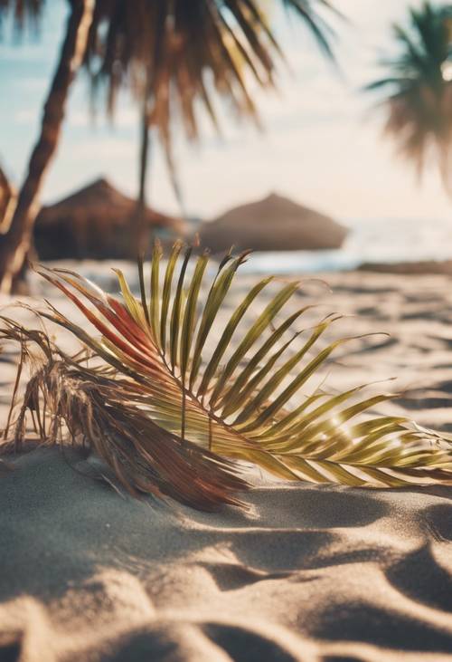 A bohemian-styled beach scene with palm leaves decorated in bright boho patterns.