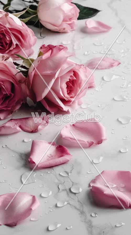 ピンクのバラについた露の壁紙: 美しいパステル調の風景