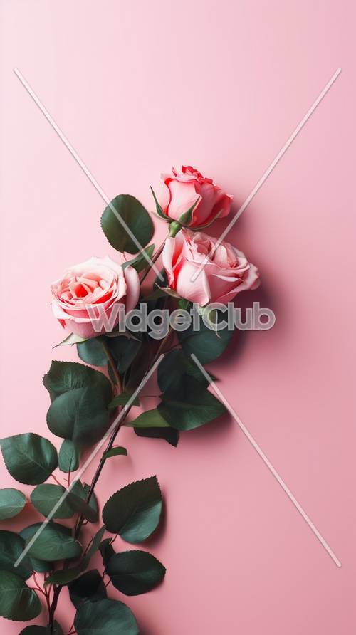 Pink Roses on a Soft Background Tapeta [5997b2e42cd24de79c3d]