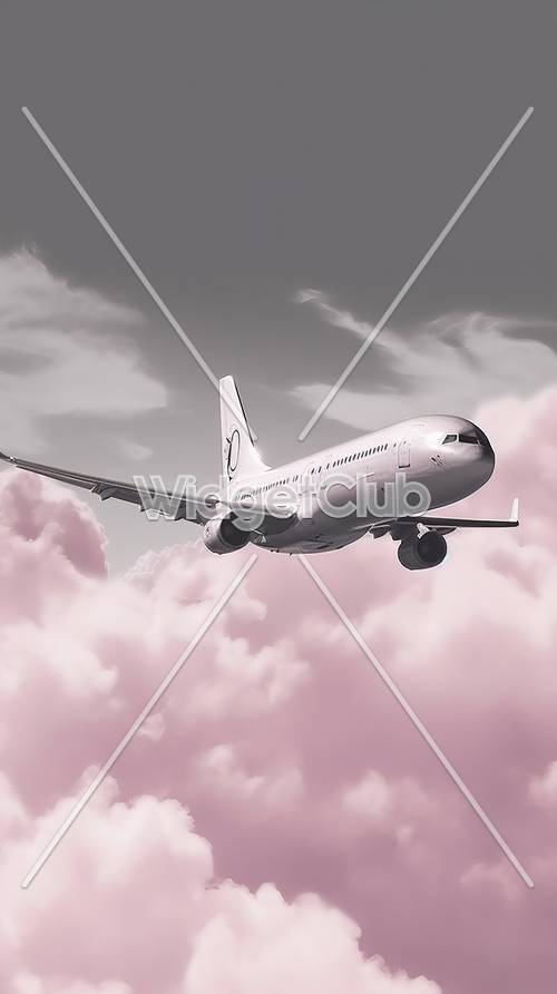 粉色天空和飞行的飞机