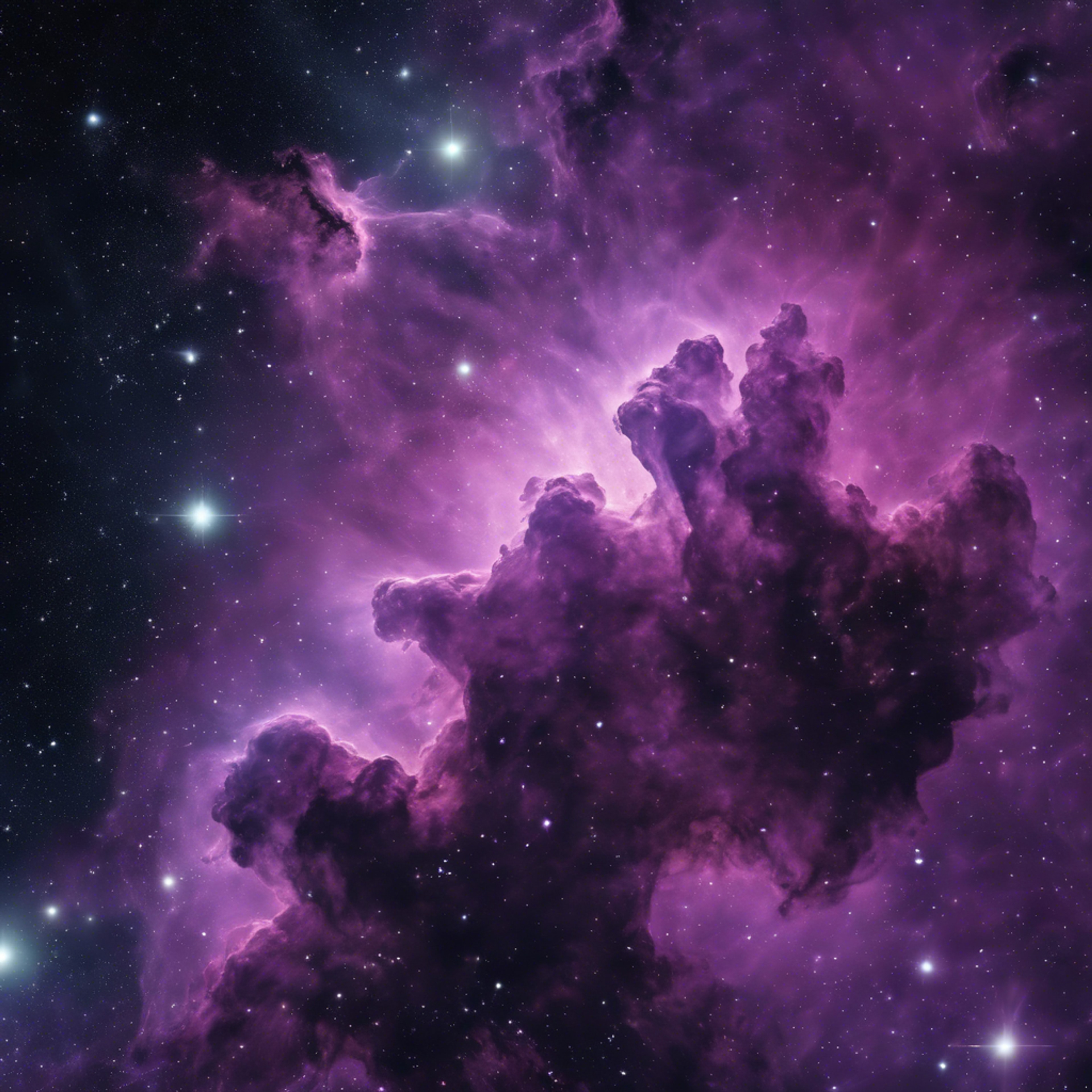A nebula in space with black voids, and purple, star-lit clouds of gas and dust. Wallpaper[3e7a619716144d8ba851]