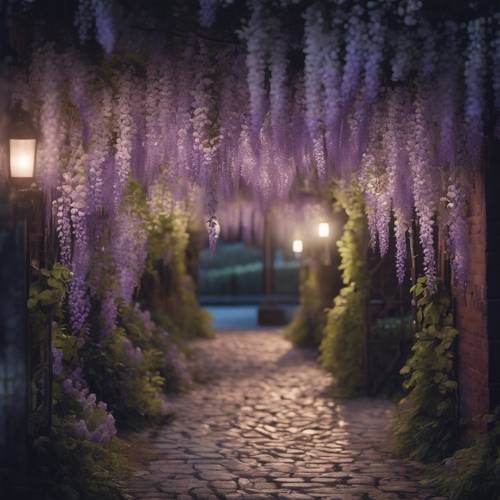 銀色月光下，一條小路掛滿了紫藤花。
