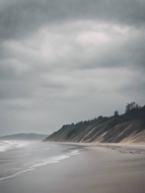 A soothing vista of an overcast beach, the ocean waves softly kissing the gray sands.