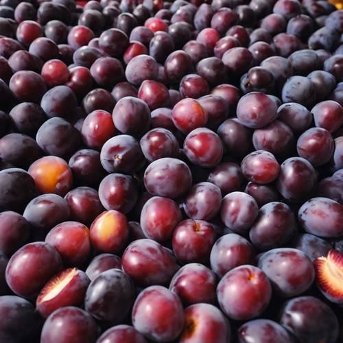Dozens of plums arranged in a pyramid on a market stall.