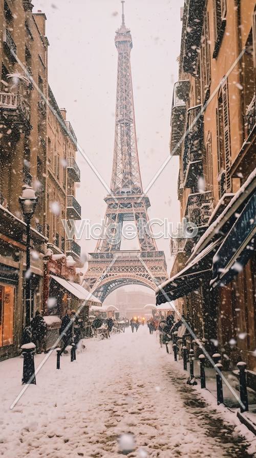 يوم ثلجي في باريس بالقرب من برج إيفل