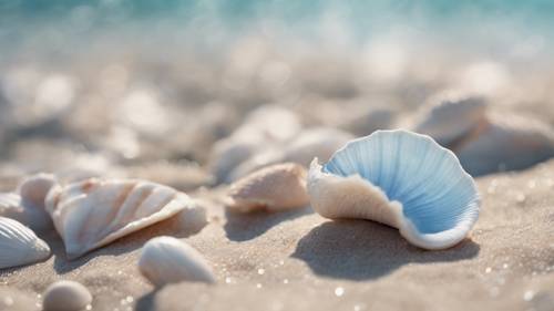 A close-up of a delicate, pastel blue seashell.