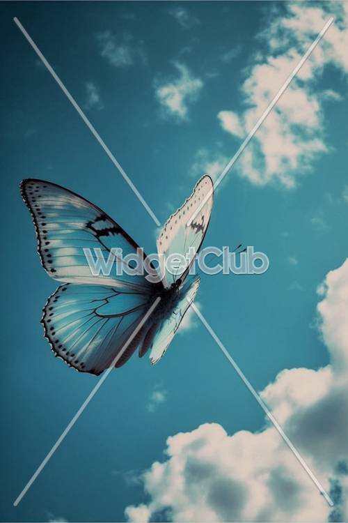 青空と優雅な蝶々の壁紙