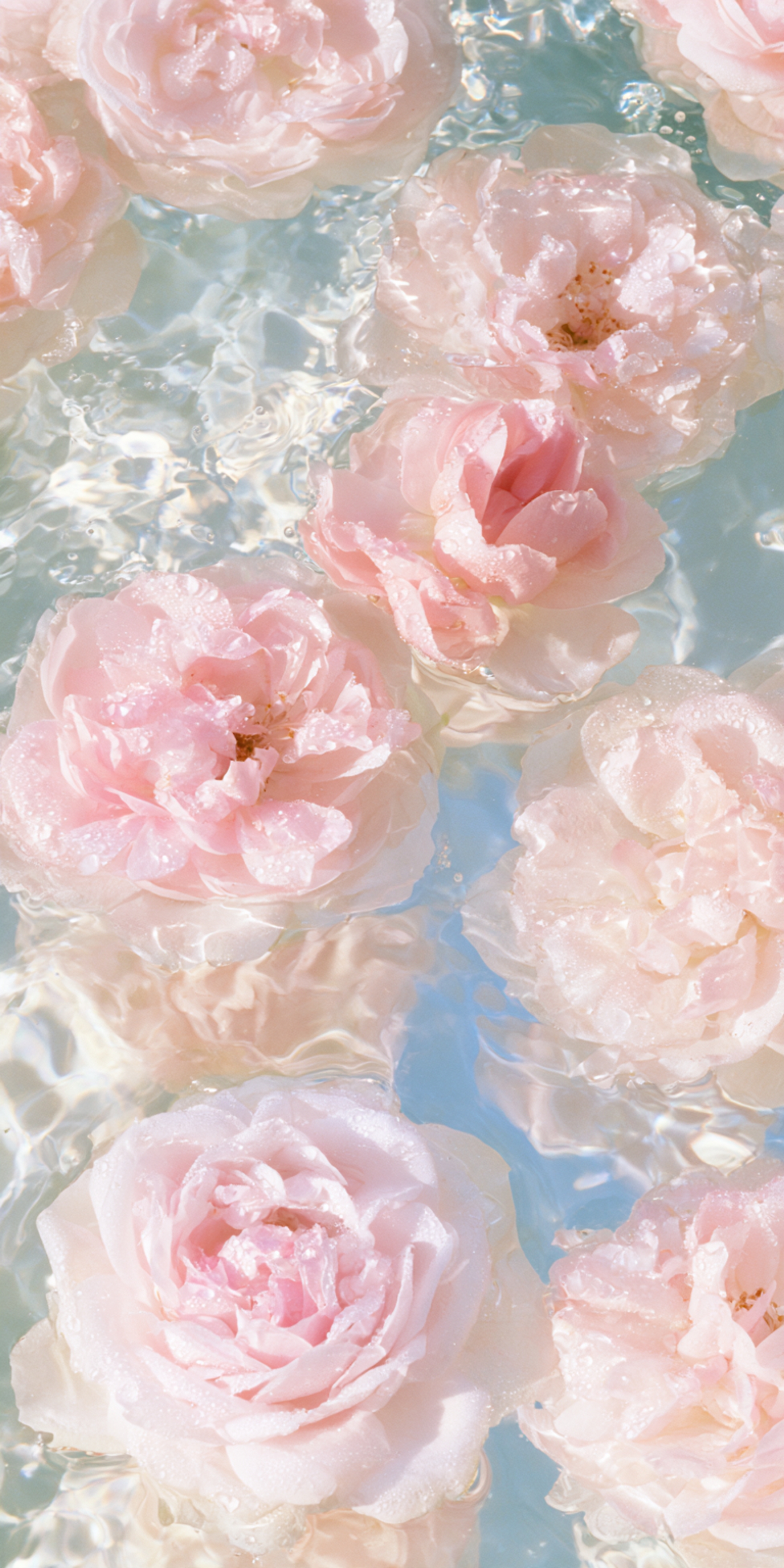 Pink Wallpaper [cf94999adad1404d93cd] by Wallpaper HD | WidgetClub