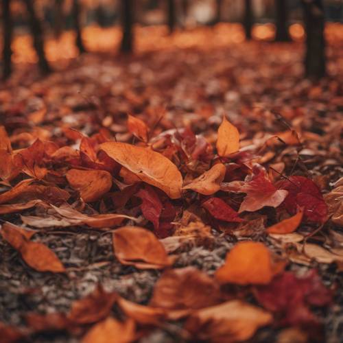 Ein feuriger Herbstgarten, erstrahlt in Orange-, Rot- und Brauntönen und ist mit einem Teppich aus gefallenen Blättern bedeckt.