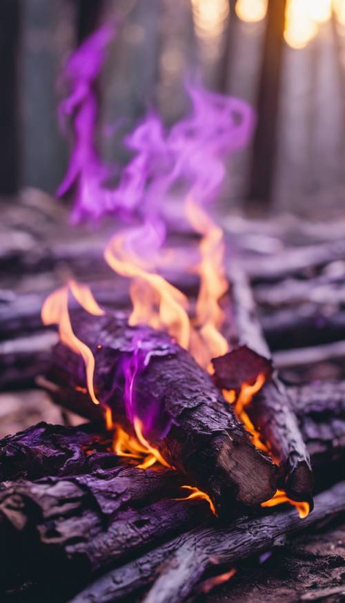 Gambar jarak dekat dari api ungu menari di atas kayu tradisional.