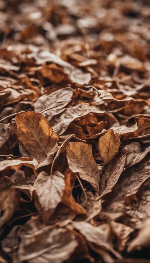 Stos suchych brązowych liści sygnalizujący początek jesieni.