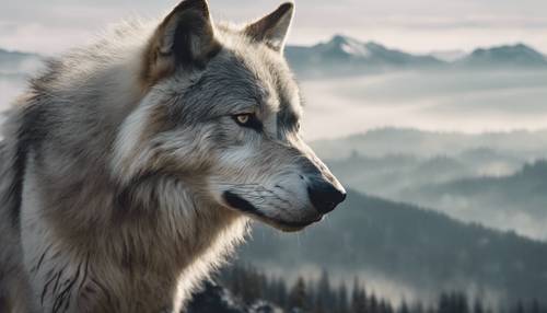 Un vecchio e saggio lupo argentato con cicatrici che ne delineano la lunga vita, che guarda una valle nebbiosa.