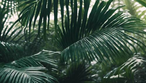 Hutan tropis dengan pola daun palem berwarna hijau tua.