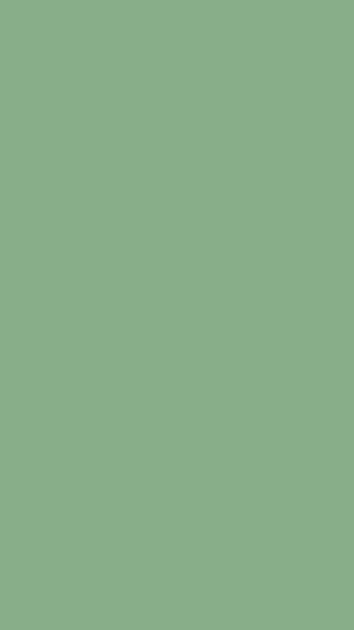 Mint Green Simple Design Background