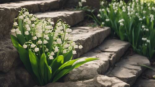 A trail of Lily of the Valley flowers leading to an ancient stone steps.