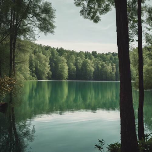 Spokojne jezioro odzwierciedlające szałwiowe odcienie otaczającego bujnego lasu