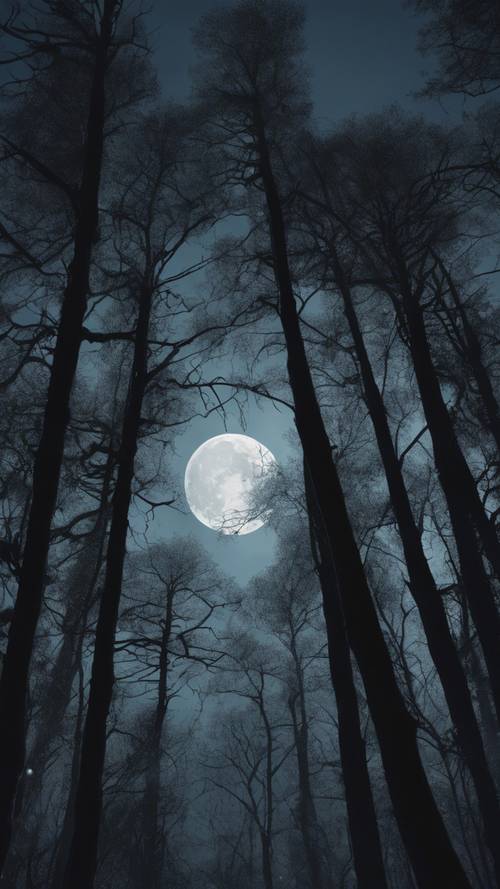 Una luna piena che illumina una misteriosa foresta oscura, donando un bagliore argentato alle inquietanti sagome degli alberi ad alto fusto.