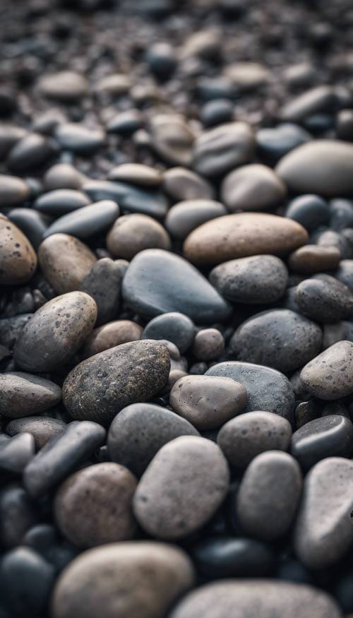 Dark gray textured pebbles on the river bed.