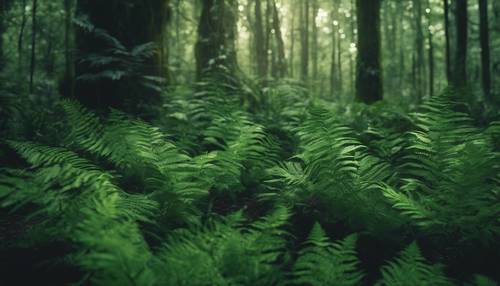 Yoğun eğrelti otu benzeri desenlere sahip hayali koyu yeşil orman.
