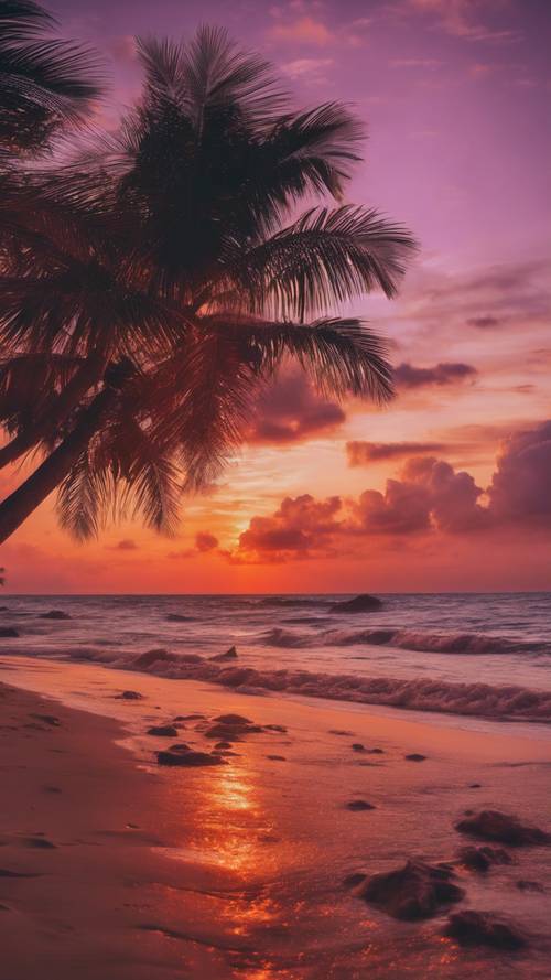 An exquisite sunset on a tropical beach under a sky streaked with reds, oranges, and purples.
