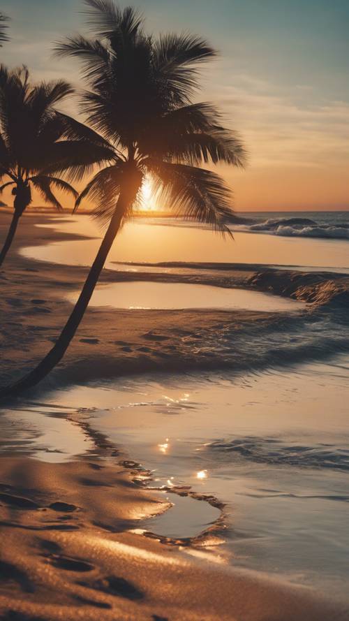 夕日が海に沈む穏やかな砂浜の壁紙