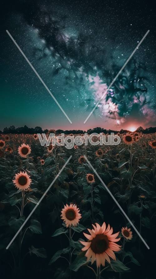 Starry Night and Sunflowers at Sunset