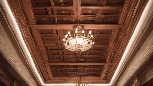 Комната с кессонным потолком теплого коричневого цвета, оформленная в традиционном стиле.