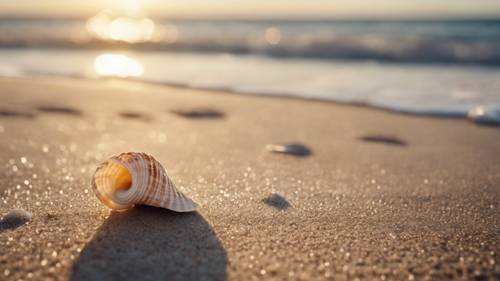 A seashell on a sunlit beach, with an inspiring quote naturally formed on its inner surface. Tapet [3f9cd8b606bb45ae844a]