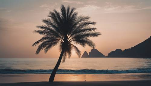 Uma palmeira escura à beira de um mar tranquilo, banhada pela luz suave da madrugada.