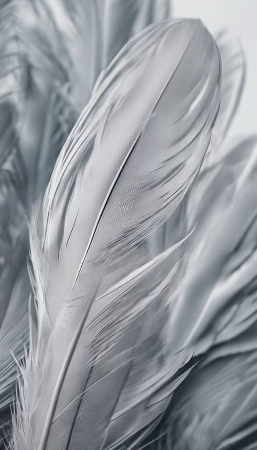 鳥の羽根が薄灰色で柔らかな雲のような模様になった壁紙