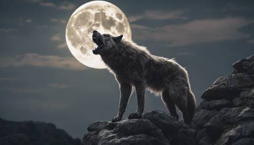 満月に遠吠えをする狼男の壁紙