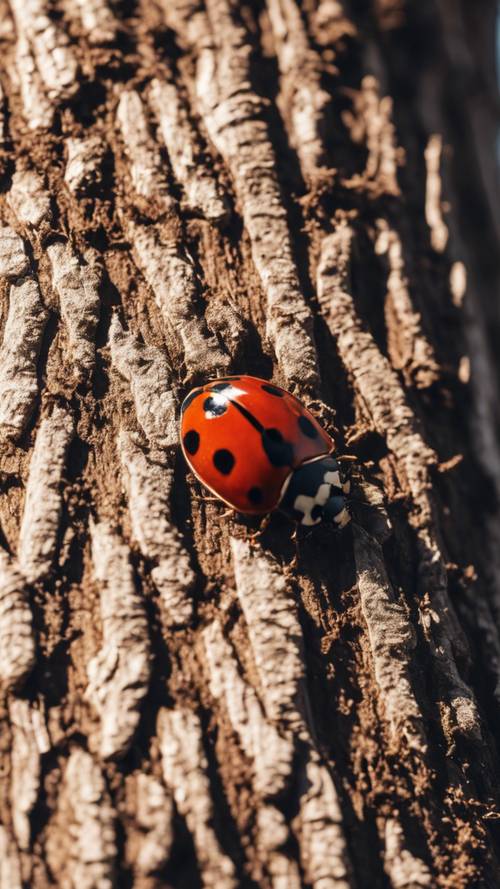 A ladybug climbing up the textured bark of a sunlit pine tree