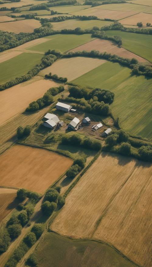 An aerial view of a vintage country landscape showing patchworks of farmlands during the summer.