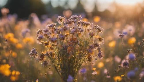A metallic bouquet of wildflowers bathed in sunset.