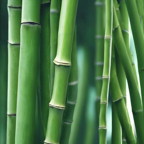 Bambu yaprağı damarının aşırı yakın çekimi
