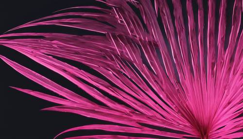 A stylized, neon illustration of a pink palm leaf against a cool, dark background.