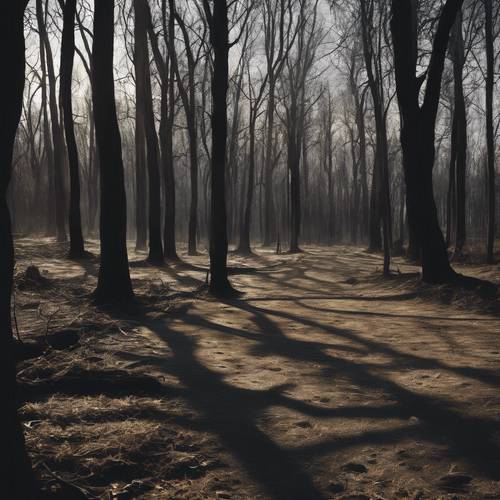 An eerie landscape showing the shadows of twisted, blackened trees.