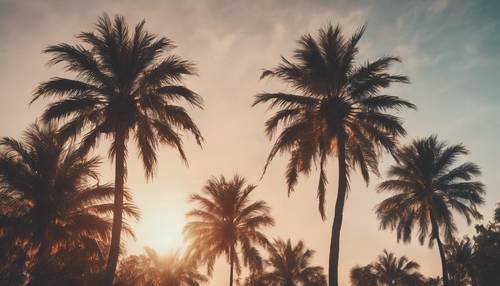 Ilustración de una palmera alta y majestuosa frente a una clásica puesta de sol vintage.